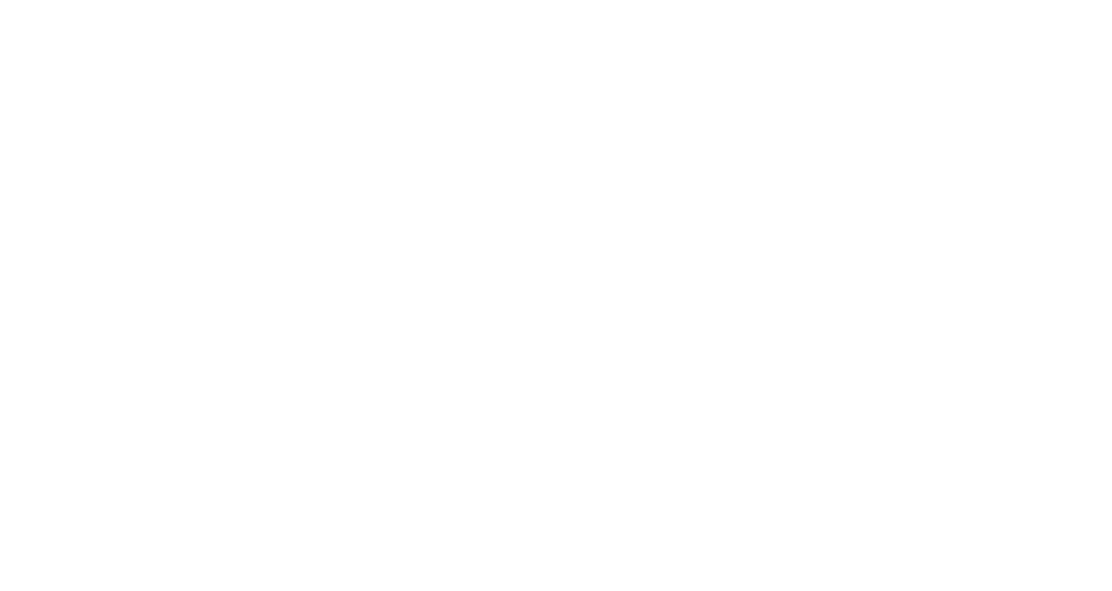 Solidarity Agenda